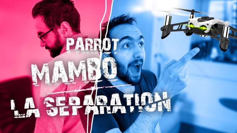 Drone-Parrot-Mambo-LA-SEPARATION